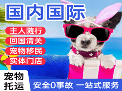 石家庄机场托运国际宠物托运 【国